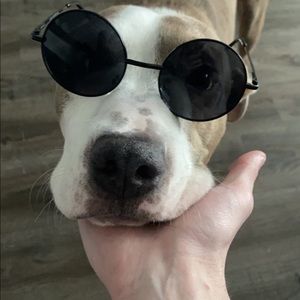 Meet your Posher, Clifford